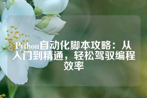 Python自动化脚本攻略：从入门到精通，轻松驾驭编程效率