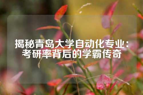 揭秘青岛大学自动化专业：考研率背后的学霸传奇