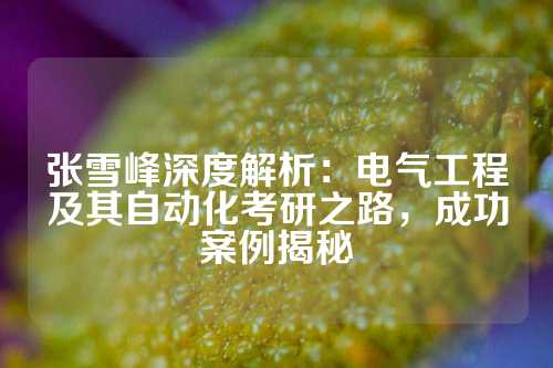 张雪峰深度解析：电气工程及其自动化考研之路，成功案例揭秘