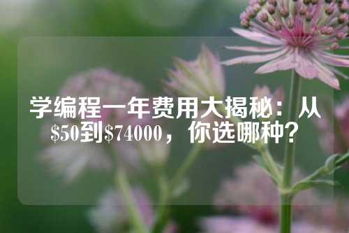 学编程一年费用大揭秘：从$50到$74000，你选哪种？
