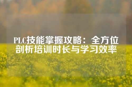 PLC技能掌握攻略：全方位剖析培训时长与学习效率