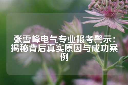 张雪峰电气专业报考警示：揭秘背后真实原因与成功案例