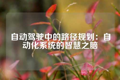 自动驾驶中的路径规划：自动化系统的智慧之脑