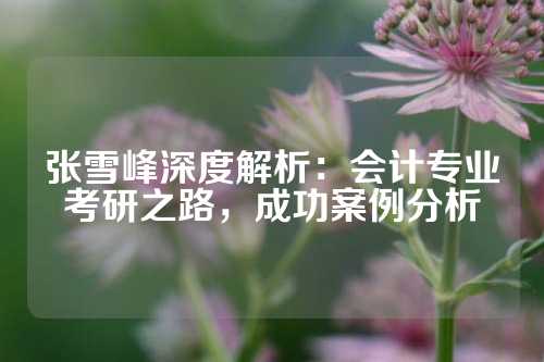 张雪峰深度解析：会计专业考研之路，成功案例分析