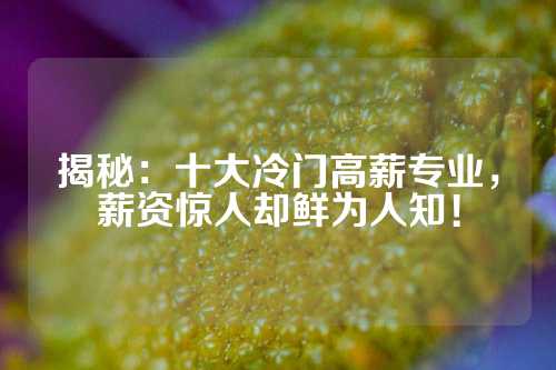 揭秘:十大冷门高薪专业,薪资惊人却鲜为人知!