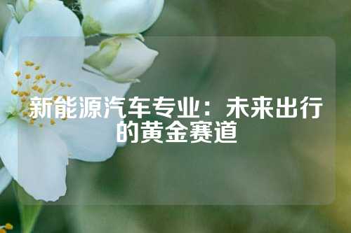 新能源汽车专业：未来出行的黄金赛道
