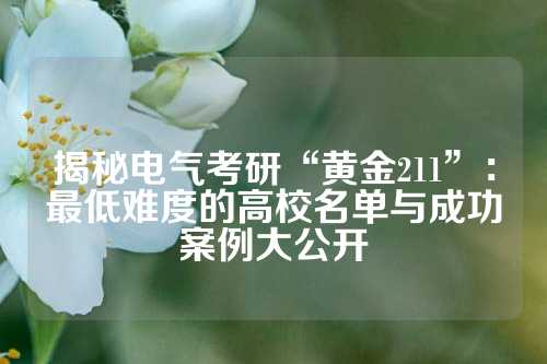 揭秘电气考研“黄金211”：最低难度的高校名单与成功案例大公开