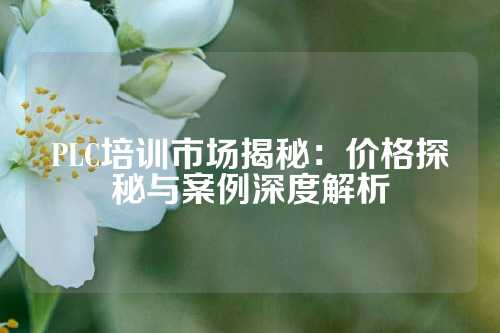 PLC培训市场揭秘：价格探秘与案例深度解析