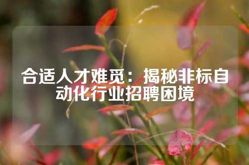 合适人才难觅：揭秘非标自动化行业招聘困境