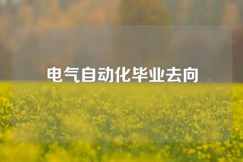 电气自动化毕业去向