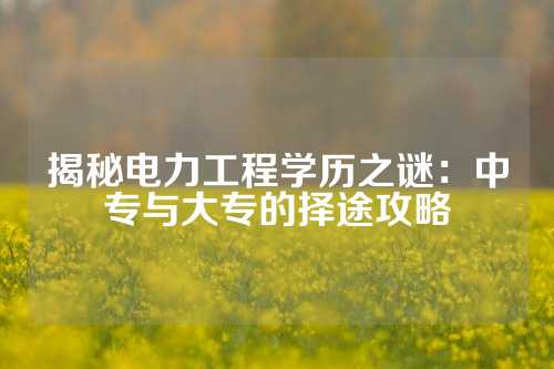 揭秘电力工程学历之谜：中专与大专的择途攻略