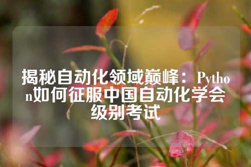 揭秘自动化领域巅峰：Python如何征服中国自动化学会级别考试
