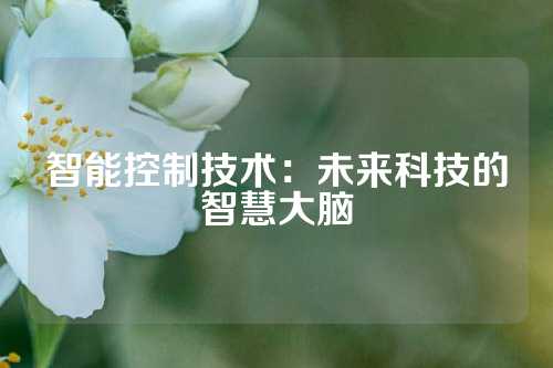 智能控制技术：未来科技的智慧大脑