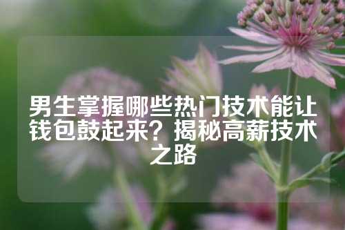 男生掌握哪些热门技术能让钱包鼓起来?揭秘高薪技术之路