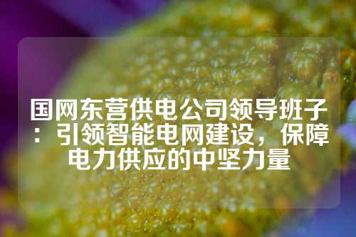 国网东营供电公司领导班子：引领智能电网建设，保障电力供应的中坚力量