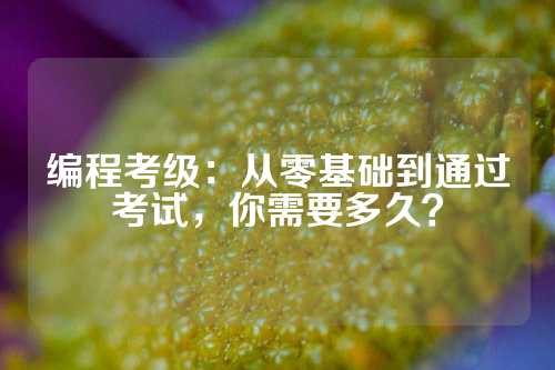 编程考级：从零基础到通过考试，你需要多久？