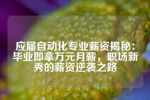 应届自动化专业薪资揭秘：毕业即拿万元月薪，职场新秀的薪资逆袭之路