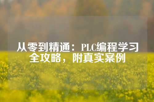从零到精通：PLC编程学习全攻略，附真实案例