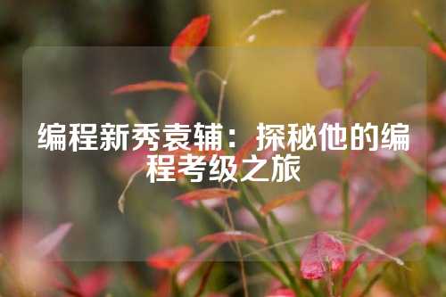 编程新秀袁辅：探秘他的编程考级之旅