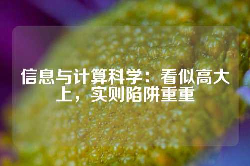 信息与计算科学：看似高大上，实则陷阱重重
