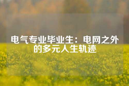 电气专业毕业生:电网之外的多元人生轨迹