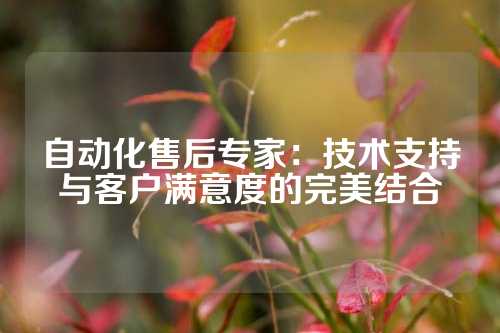 自动化售后专家：技术支持与客户满意度的完美结合
