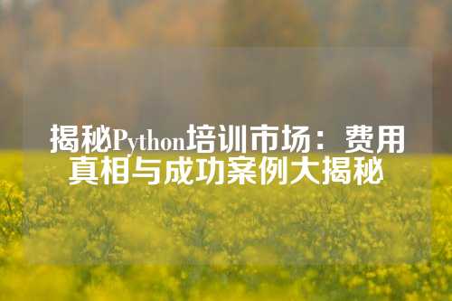 揭秘Python培训市场：费用真相与成功案例大揭秘
