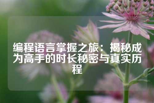 编程语言掌握之旅：揭秘成为高手的时长秘密与真实历程