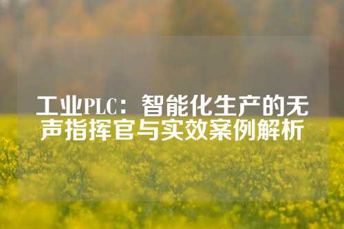 工业PLC：智能化生产的无声指挥官与实效案例解析