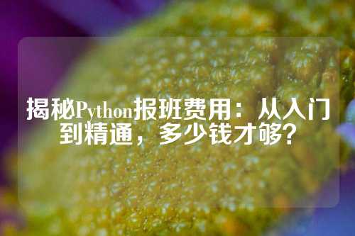 揭秘Python报班费用：从入门到精通，多少钱才够？