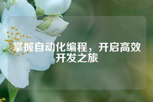 掌握自动化编程,开启高效开发之旅