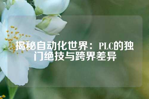 揭秘自动化世界：PLC的独门绝技与跨界差异