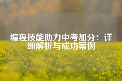 编程技能助力中考加分：详细解析与成功案例