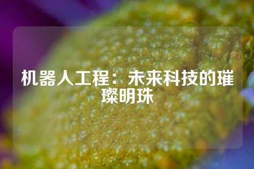 机器人工程：未来科技的璀璨明珠