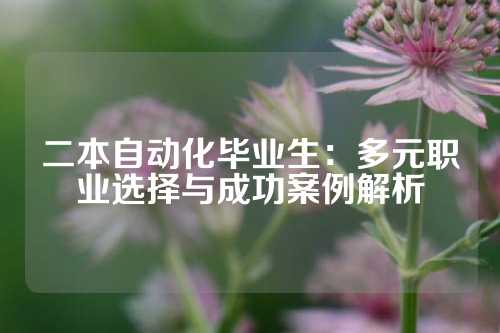 二本自动化毕业生：多元职业选择与成功案例解析