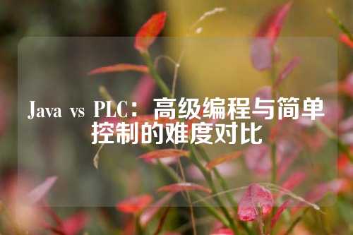 Java vs PLC：高级编程与简单控制的难度对比