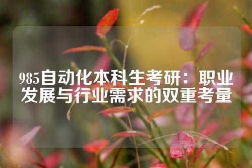 985自动化本科生考研：职业发展与行业需求的双重考量