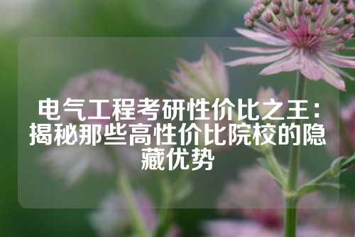 电气工程考研性价比之王：揭秘那些高性价比院校的隐藏优势