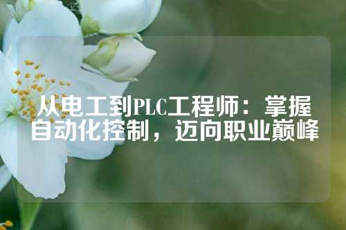 从电工到PLC工程师：掌握自动化控制，迈向职业巅峰