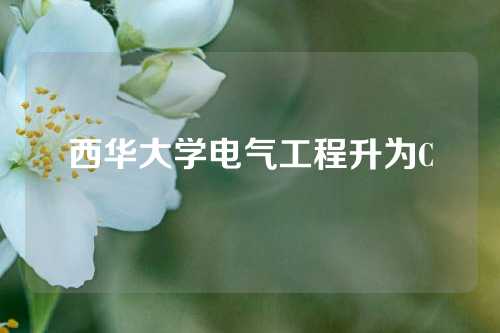 西华大学电气工程升为C