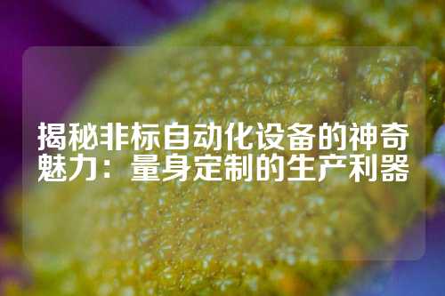 揭秘非标自动化设备的神奇魅力：量身定制的生产利器