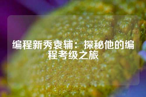 编程新秀袁辅：探秘他的编程考级之旅