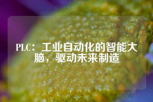 PLC：工业自动化的智能大脑，驱动未来制造