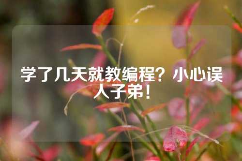 学了几天就教编程？小心误人子弟！