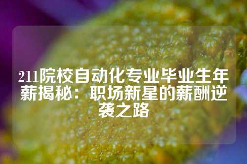 211院校自动化专业毕业生年薪揭秘：职场新星的薪酬逆袭之路