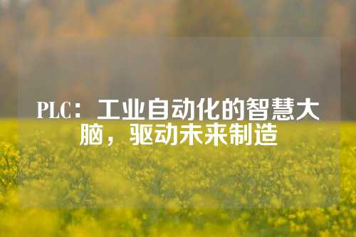 PLC：工业自动化的智慧大脑，驱动未来制造