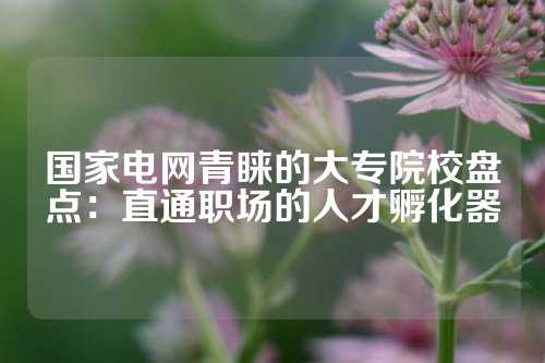 国家电网青睐的大专院校盘点:直通职场的人才孵化器
