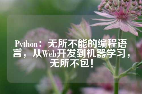 Python：无所不能的编程语言，从Web开发到机器学习，无所不包！