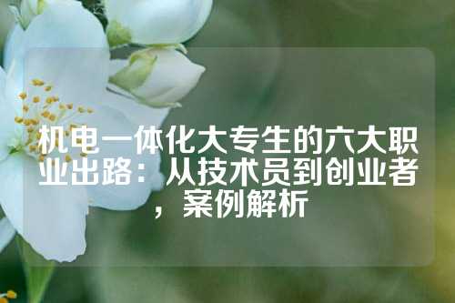 机电一体化大专生的六大职业出路：从技术员到创业者，案例解析