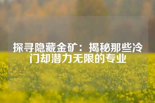 探寻隐藏金矿：揭秘那些冷门却潜力无限的专业